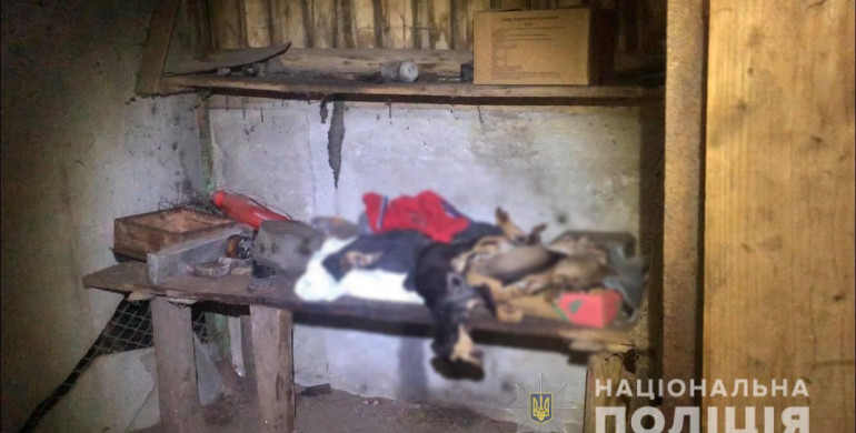 Мертві собаки у будинку Здолбунова: поліція з'ясовує усі обставини смерті (Відео 18+)